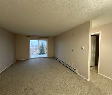 Stunning 2 Bed, 2 Bath Condo in Lancaster - 4th Floor In-Suite Laundry - Photo 4