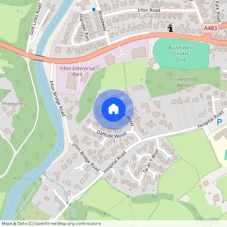 Daffodil Wood, Builth Wells, Powys, LD2