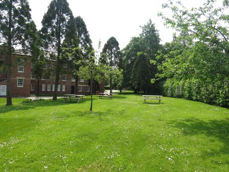 2 bed Flat for let - Photo 3