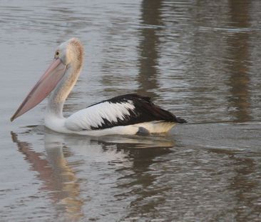 South Morang - Photo 2