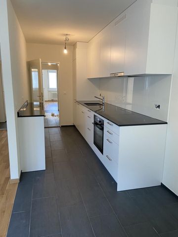 Recently renovated 3.5-room apartment, including a laundry tower, in the Gundeli district - Photo 5