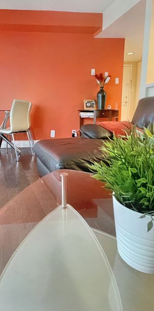 Large 700 sq. ft. Executive Furnished Condo with Bell 1.5 TB Internet - Photo 1