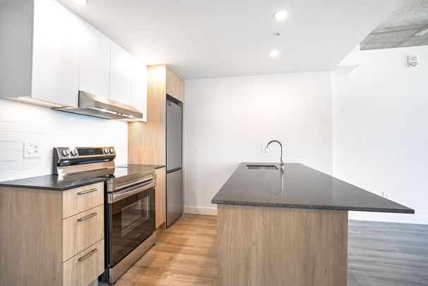 From bold architecture to sweeping skyline views, Skyla is where downtown Montréal living reaches its peak — in style - Photo 1