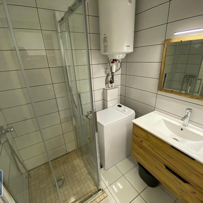 Location Appartement 1 pièce 25m² ST GILLES LES BAINS 97434 - Photo 1