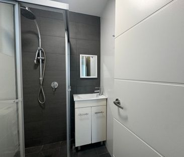 Newly Renovated Ground Floor 2bedrooms with extra lounge room Apartment with Courtyard in Prime Location - Photo 4