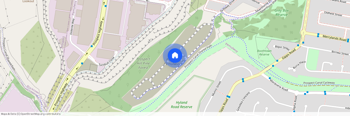 7 Murragauan Street Pemulwuy