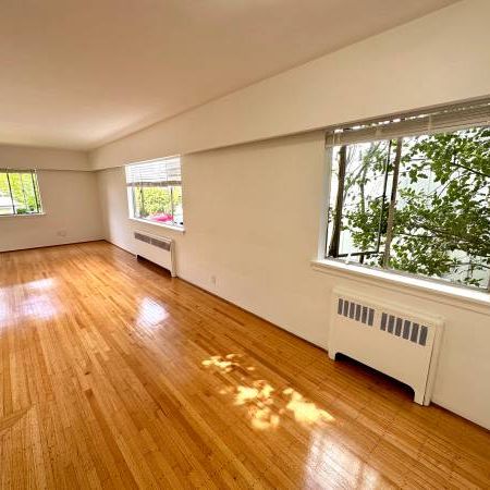 2 Bed/1 Bath Large Updated Suite in Kerrisdale - 1 cat ok - Photo 3