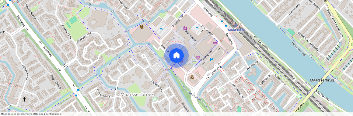 Bisonspoor 2255, Maarssen