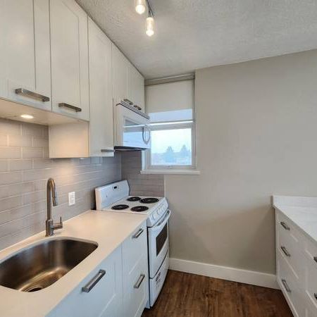 Pet Friendly 1 Bedroom With Laundry In Mount Pleasant - Photo 3