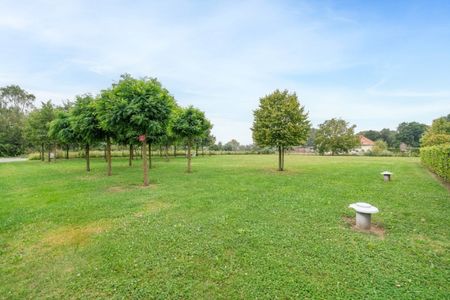 Appartement te huur Kalken - Foto 3