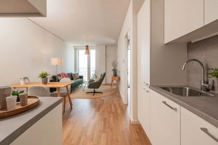 ERSTBEZUG IN DER NEUEN DONAUSTADT | MIETBEGINN AB 1. APRIL | 2 ZIMMER | BALKON | VIENNA TWENTYTWO - Foto 4