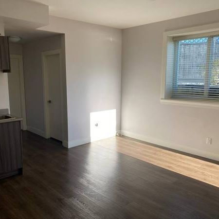 Studio for rent ( $1,300 ) in Fraser Heights - Photo 3