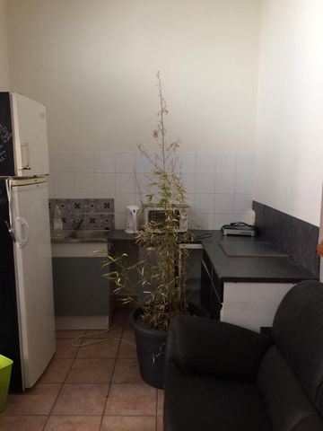 Location Appartement 1 pièce 24m² LYON 2ème - Photo 2