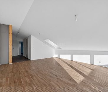 Nice 2.5 room new - Photo 5