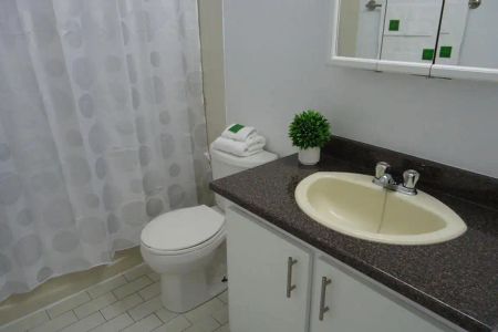 55 Laframboise — 4 ½ - Photo 3
