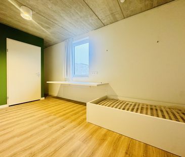 Sint-Amandsplein 3, kamer 2.05 - Foto 3