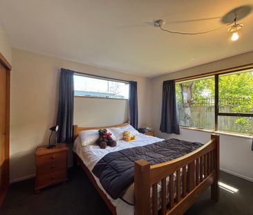 33b Trafalgar Street - Photo 6