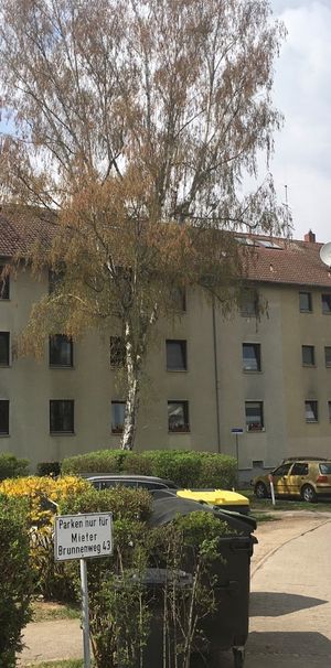 Kleine Erdgeschosswohnung zum Wohlfühlen - Photo 1