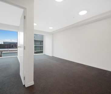 Freshly Renovated - Photo 6