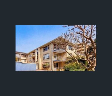 Coastal living in the heart of Dee Why - Photo 5