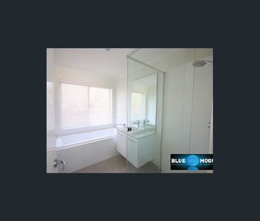 Four bedroom home in Birtinya health precinct - Photo 3