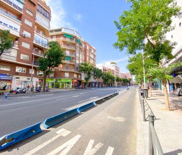 Madrid - Photo 6