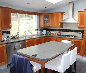 River Forest Estate, Leixlip, Co. Kildare - Photo 3