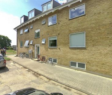 Nørremarksvej - Photo 1
