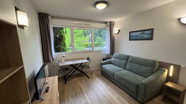 HAUT d'IDRON, Au Calme, Studio MeublÃ© en RÃ©sidence rÃ©cente avec climatisation et parking privÃ©, - Photo 1