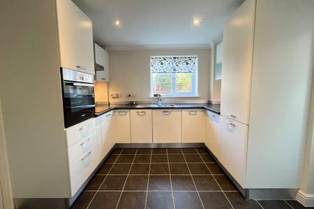 White Street - Photo 5