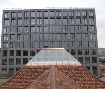 aussergewöhnliche Loftwohnung mit historischem Charme - Foto 5