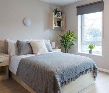 1 bedroom private hall to rent - Photo 5