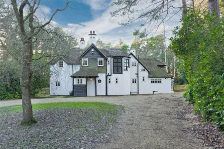 A beautiful family home adjacent to mature woodlands in Ascot - Photo 3