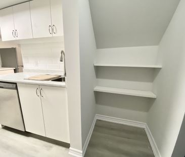 For Lease - 77 Roseneath Crescent Unit# Lower, Kitchener, Ontario - Photo 3