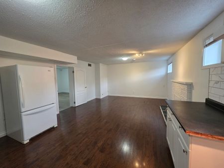 BSMT LEVEL OF GREAT HOUSE IN COQUITLAM (UTILITIES INCLUDED) - Photo 2