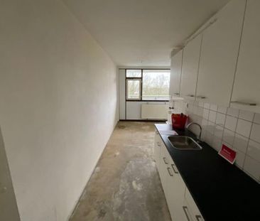 Bovenkruier 38 - Photo 3