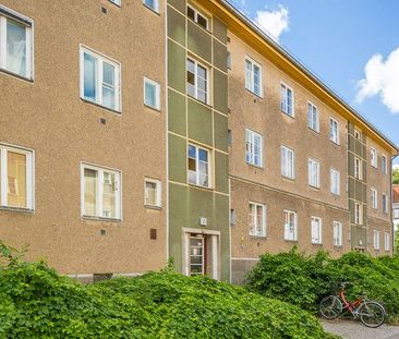 Single gesucht, mit Ofenheizung - Photo 1
