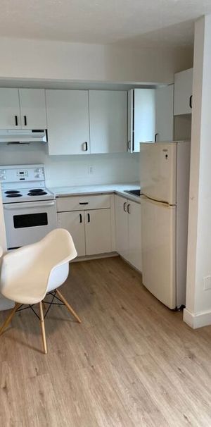 Appartements 1 1/2 à Louer Mont-Bellevue - Photo 1