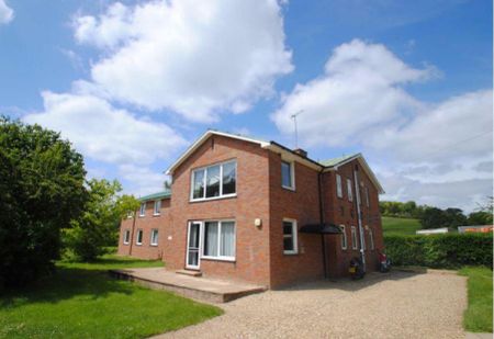 1 bedroom in a house share to rent - Photo 5