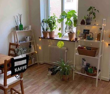 Sofielundsvägen, Malmö - Foto 3