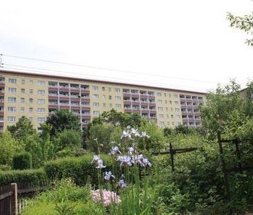 2-Raum-Wohnung in begrünter Wohnanlage - Foto 1