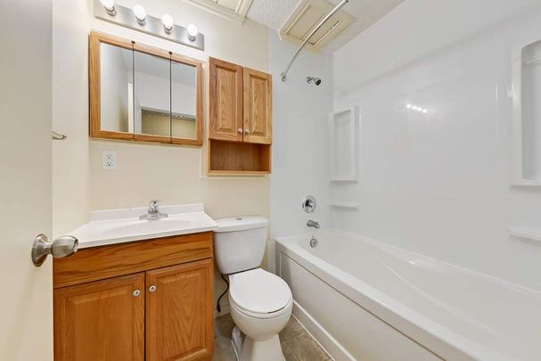 1 Bedroom - Photo 1