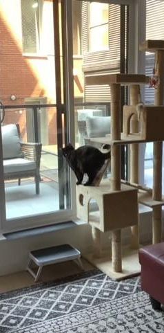 Appartement/condo 4 1/2 - Photo 1