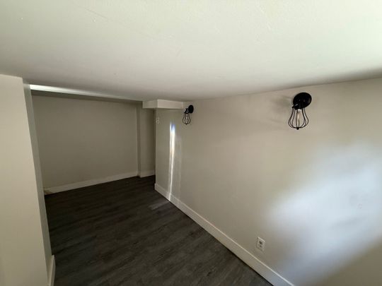 For Lease - 263 Grace Street Unit# Lower, Toronto, Ontario - Photo 1