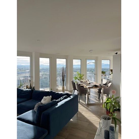 3½ Zimmer-Wohnung in Dübendorf (ZH), möbliert, auf Zeit - Photo 1