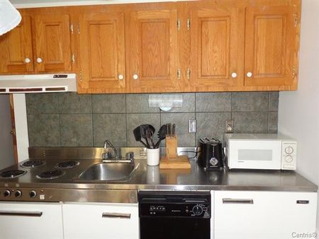 Rue du Mont-Plaisant, J8E 1L2, Mont-Tremblant - Photo 5