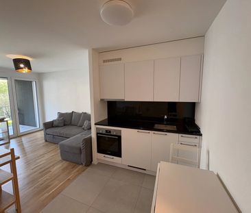 1.5 Zimmer - Photo 2