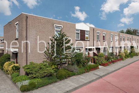 Safarigeel 42 - Photo 2