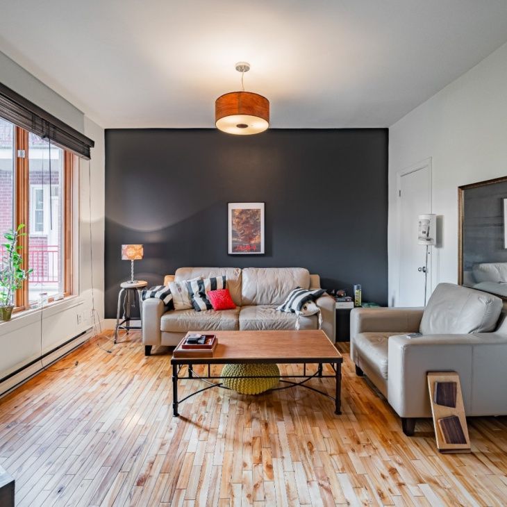 Appartement à louer - Montréal (Le Plateau-Mont-Royal) (Le Plateau-Mont-Royal) - Photo 1