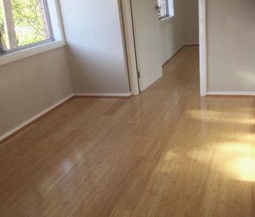 Spacious house with 4 bed 2 bath and a study - Photo 5